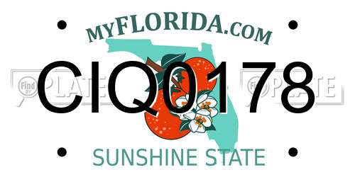 CIQ0178 Florida License Plate
