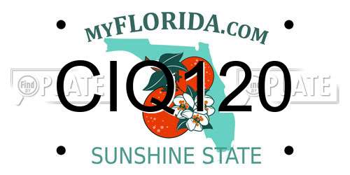 CIQ120 Florida License Plate