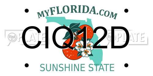 CIQ12D Florida License Plate