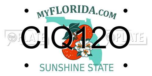 CIQ12O Florida License Plate