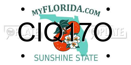 CIQ17O Florida License Plate