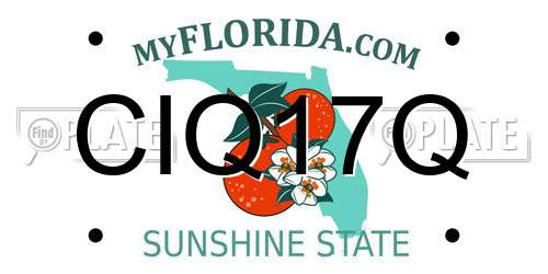 CIQ17Q Florida License Plate