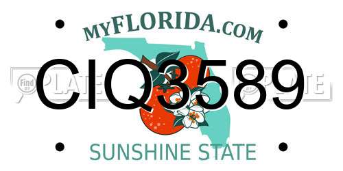 CIQ3589 Florida License Plate
