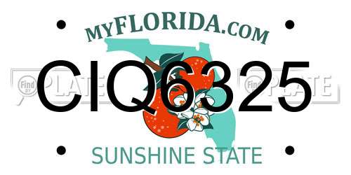 CIQ6325 Florida License Plate