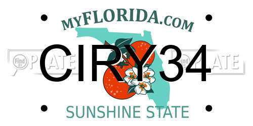 CIRY34 Florida License Plate