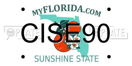 CISE90 Florida License Plate