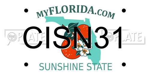 CISN31 Florida License Plate