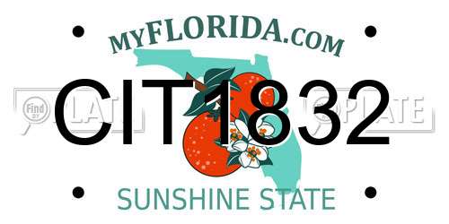 CIT1832 Florida License Plate