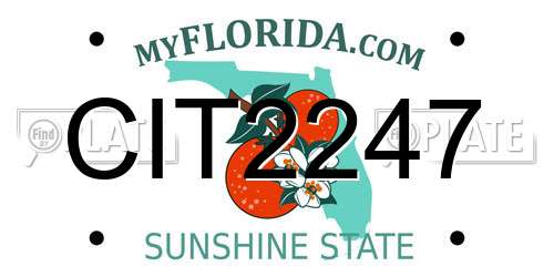 CIT2247 Florida License Plate