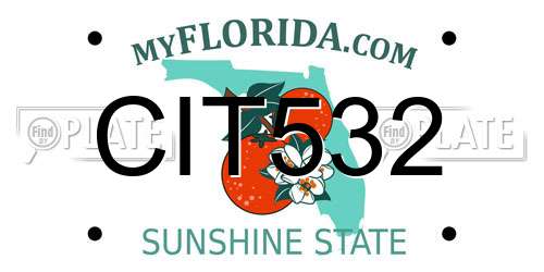 CIT532 Florida License Plate