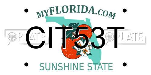 CIT53T Florida License Plate