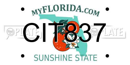 CIT837 Florida License Plate