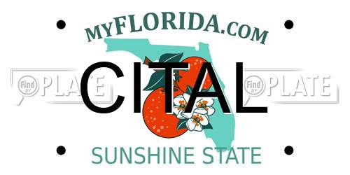 CITAL Florida License Plate