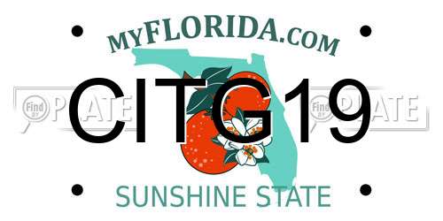 CITG19 Florida License Plate