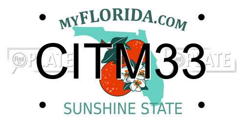 CITM33 Florida License Plate