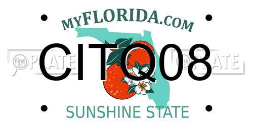 CITQ08 Florida License Plate