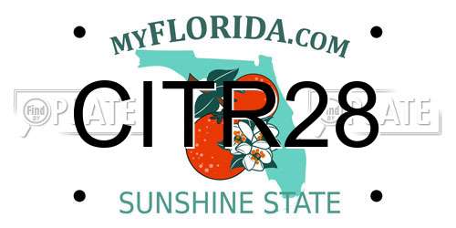 CITR28 Florida License Plate