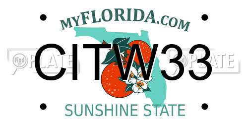 CITW33 Florida License Plate