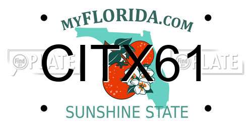 CITX61 Florida License Plate