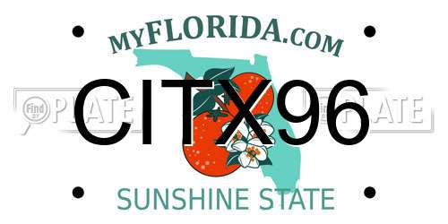 CITX96 Florida License Plate