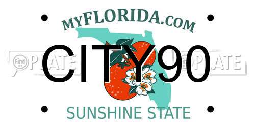 CITY90 Florida License Plate