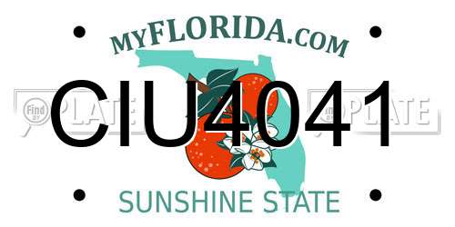 CIU4041 Florida License Plate