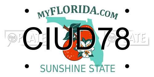 CIUD78 Florida License Plate