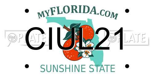 CIUL21 Florida License Plate