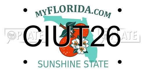 CIUT26 Florida License Plate