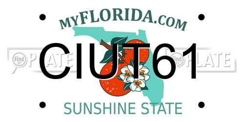 CIUT61 Florida License Plate