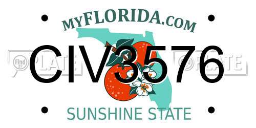 CIV3576 Florida License Plate