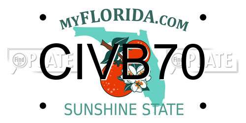 CIVB70 Florida License Plate