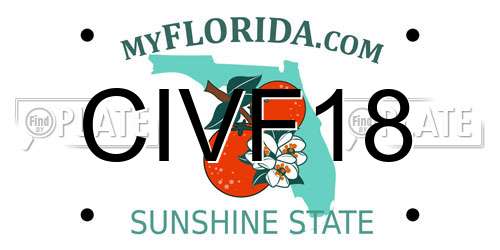 CIVF18 Florida License Plate