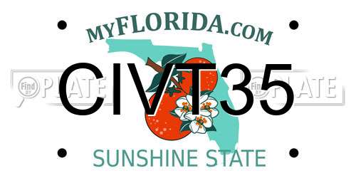 CIVT35 Florida License Plate