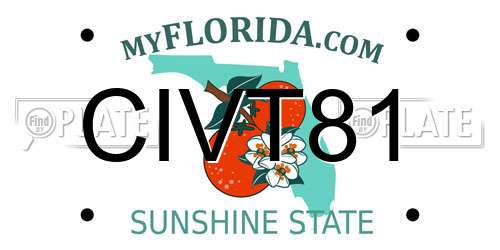 CIVT81 Florida License Plate