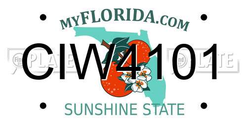 CIW4101 Florida License Plate