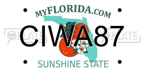 CIWA87 Florida License Plate