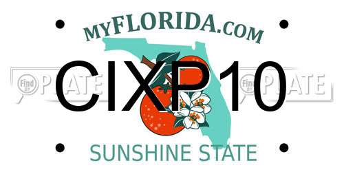 CIXP10 Florida License Plate