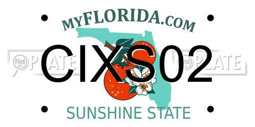 CIXS02 Florida License Plate