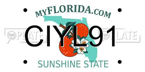 CIYL91 Florida License Plate