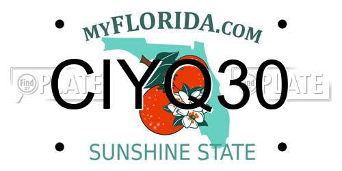 CIYQ30 Florida License Plate