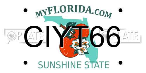 CIYT66 Florida License Plate