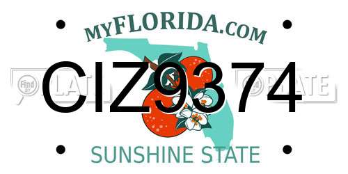 CIZ9374 Florida License Plate