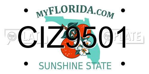 CIZ9501 Florida License Plate