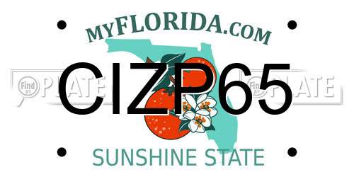 CIZP65 Florida License Plate