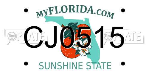 CJ0515 Florida License Plate