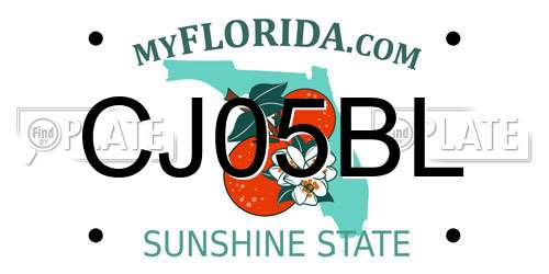 CJ05BL Florida License Plate