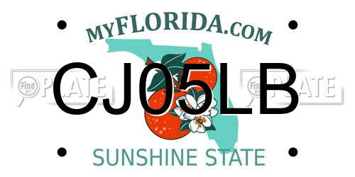 CJ05LB Florida License Plate