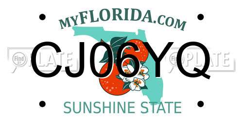 CJ06YQ Florida License Plate