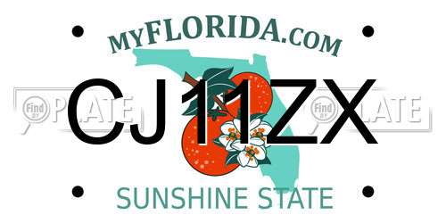 CJ11ZX Florida License Plate